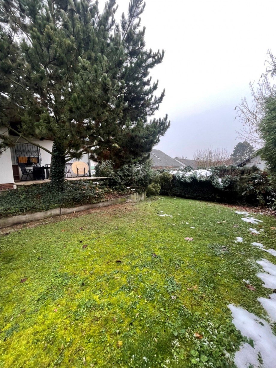 Garten Bungalow Wiesbaden