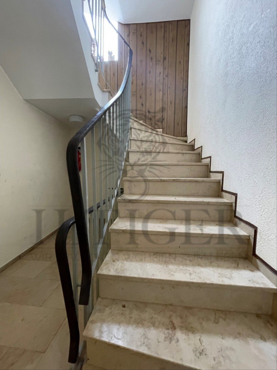 Treppenhaus Mehrfamilienhaus Hattersheim am Main