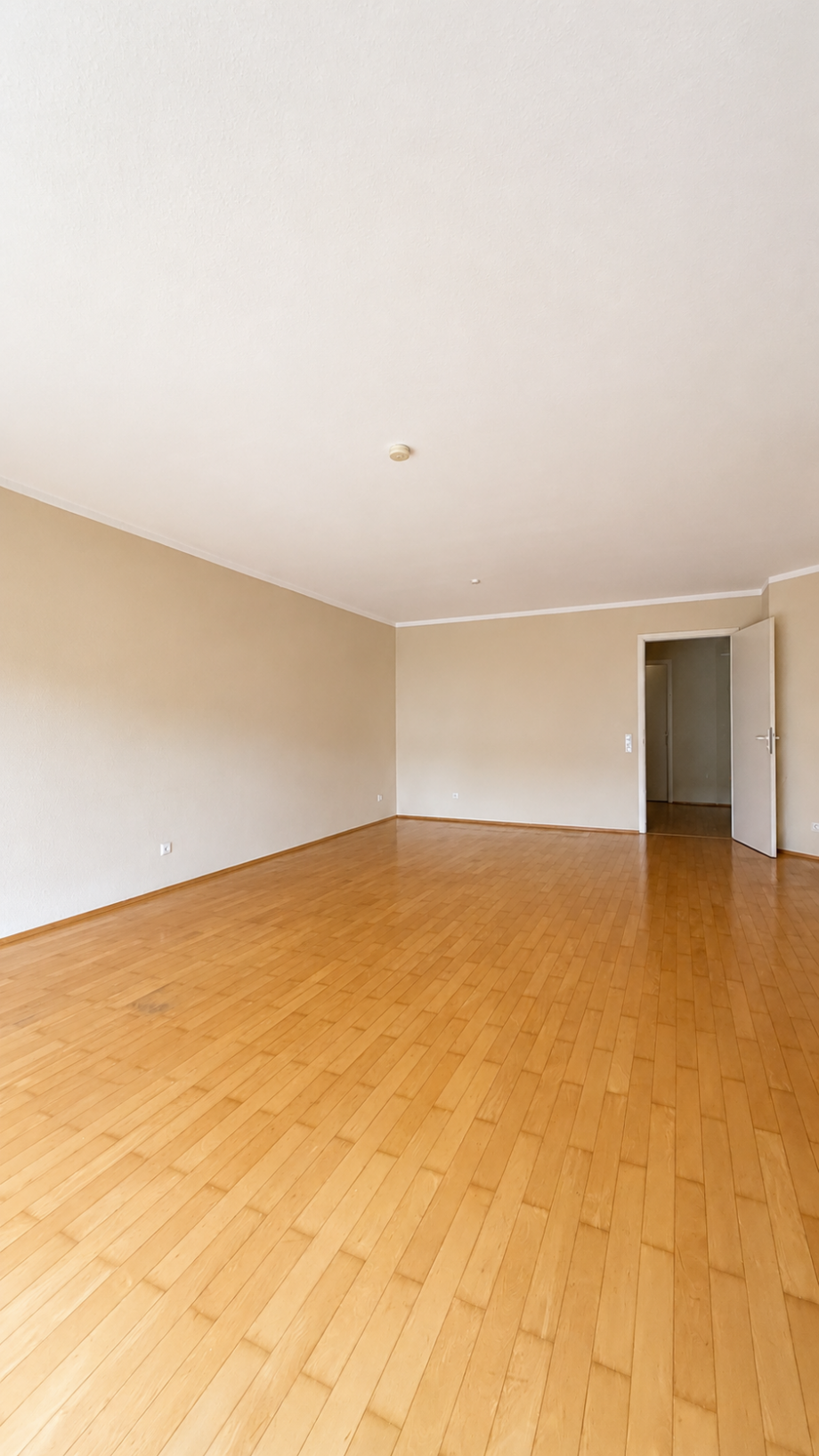 Wohnzimmer Etagenwohnung Hattersheim