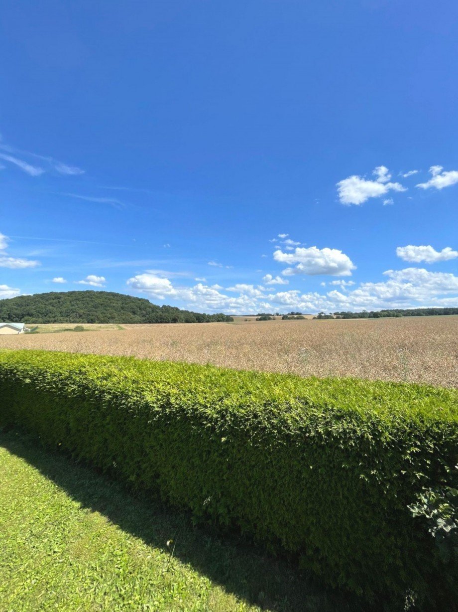 Aussicht Einfamilienhaus Schrecksbach