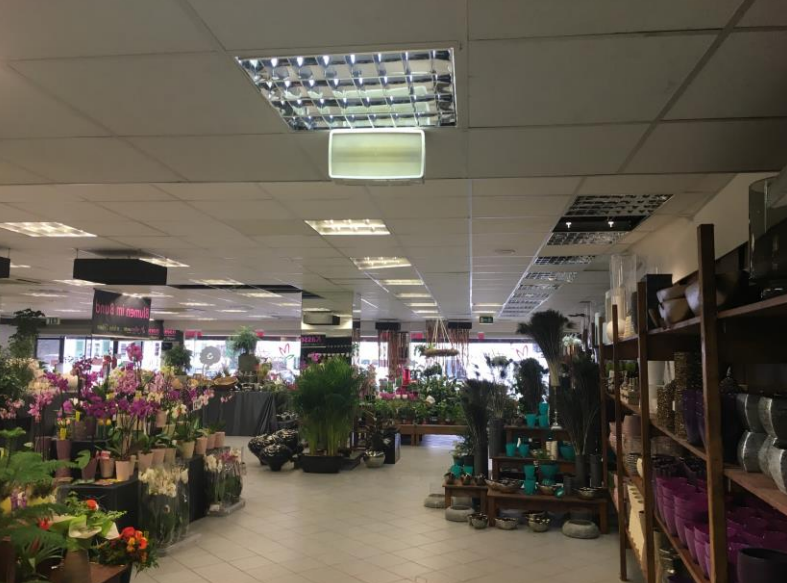 Innenansicht sonstige K�nigstein im Taunus