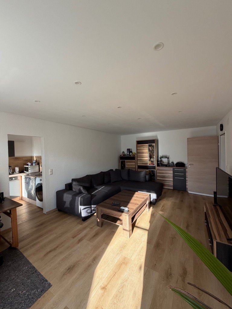 Wohnzimmeransicht_2 Fl�rsheim am Main Etagenwohnung Umfassend neu renovierte 2-Zimmer-Wohnung - mit Tiefgaragenplatz