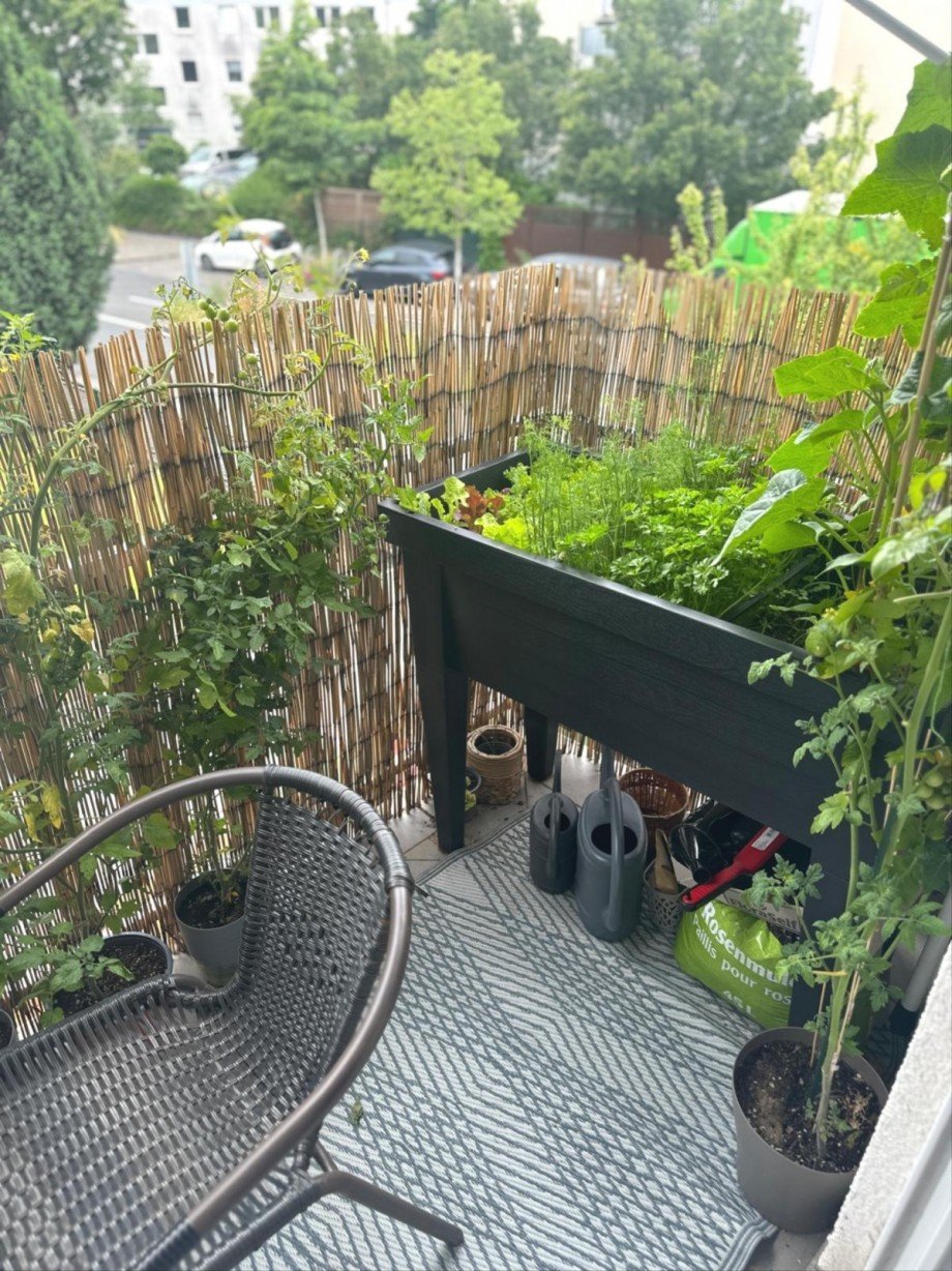 Terrasse Etagenwohnung Mainz