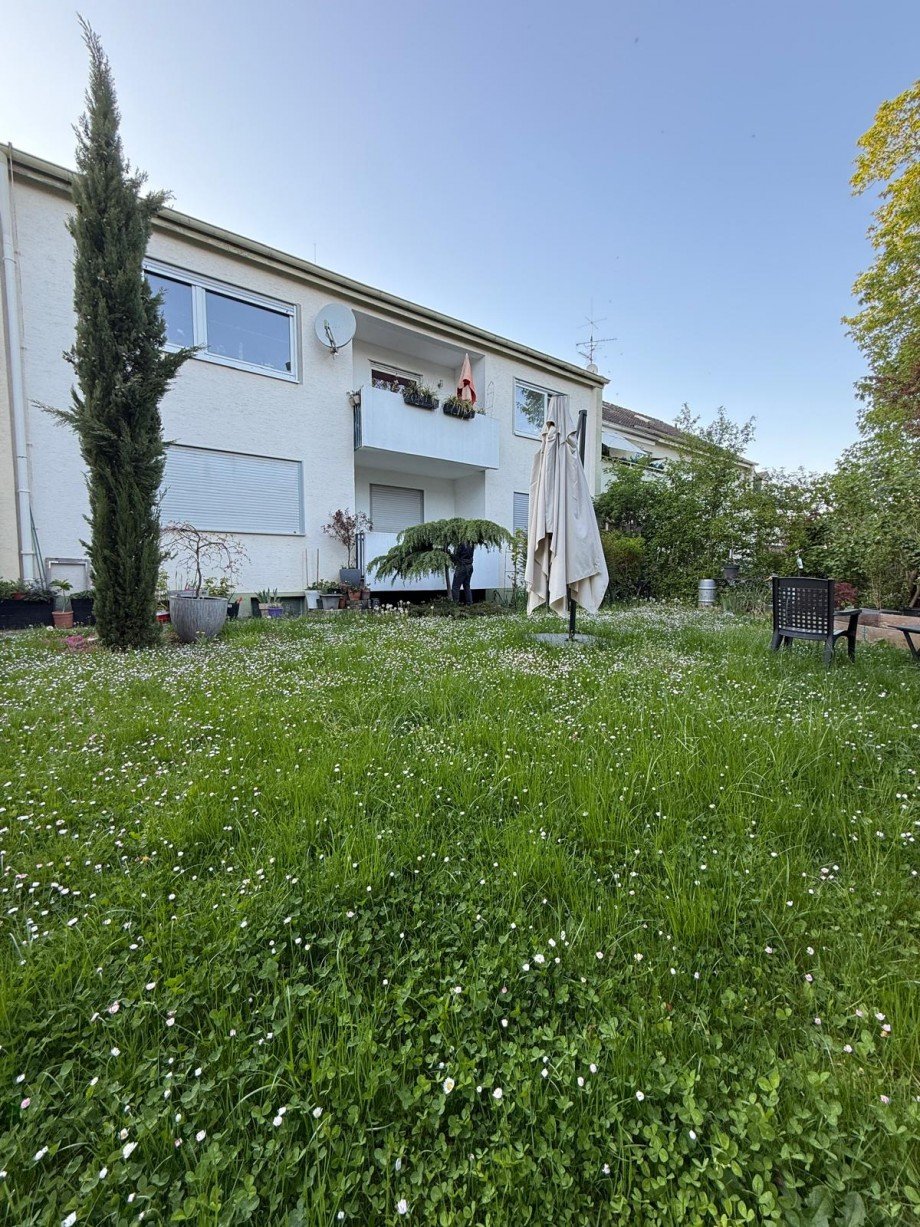 Au�enansicht Mehrfamilienhaus Hattersheim am Main