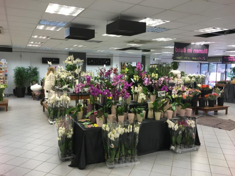 Innenansicht sonstige K�nigstein im Taunus