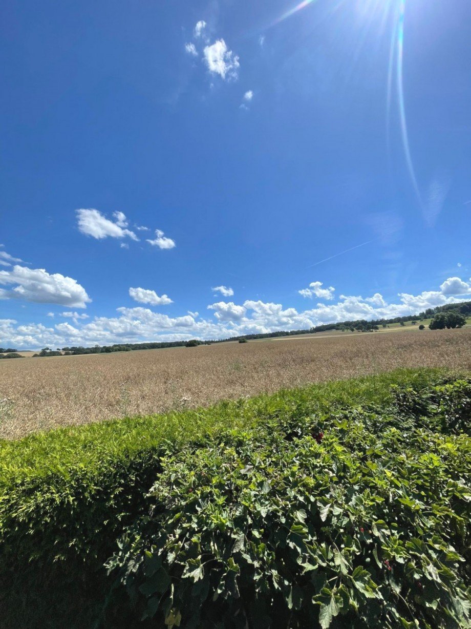 Aussicht Einfamilienhaus Schrecksbach