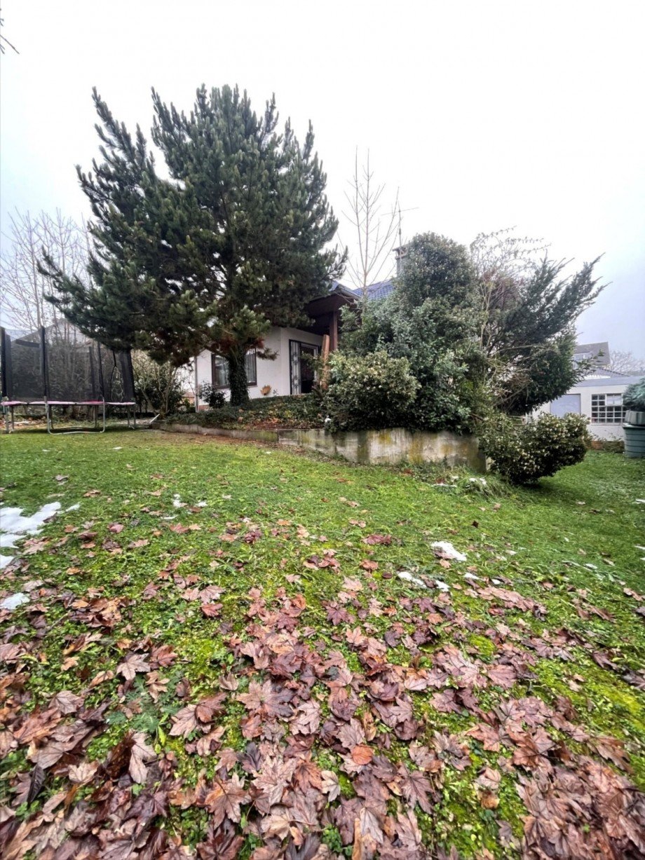 Garten Bungalow Wiesbaden