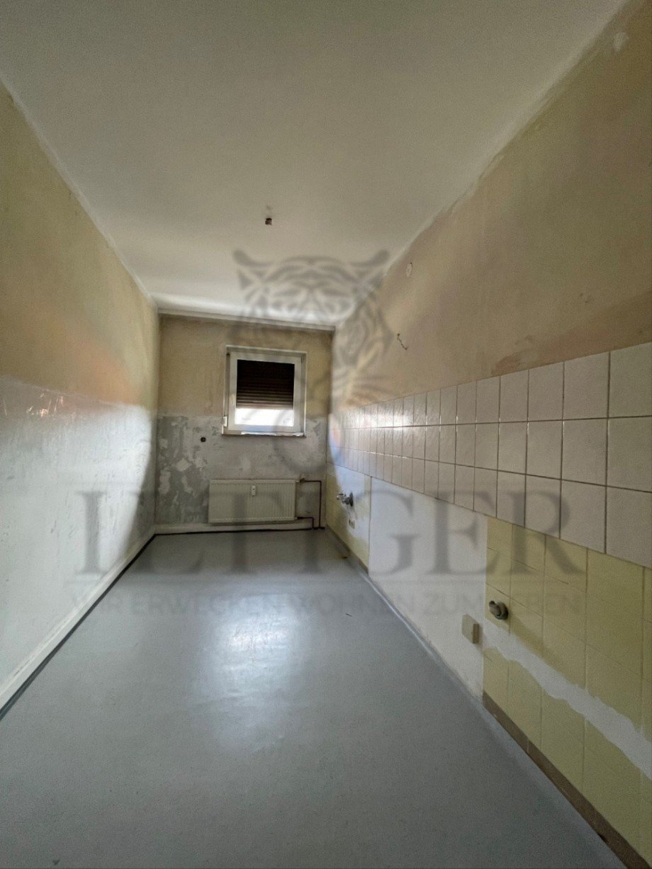 K�che Mehrfamilienhaus Hattersheim am Main