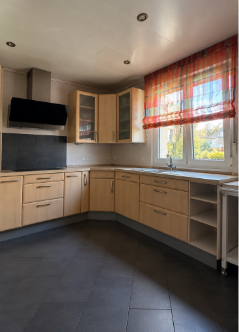 K�che Einfamilienhaus Fl�rsheim am Main, Deutschland