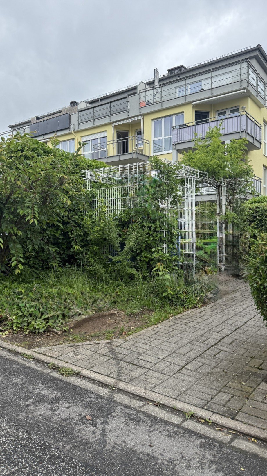 vorderseite Etagenwohnung Hattersheim