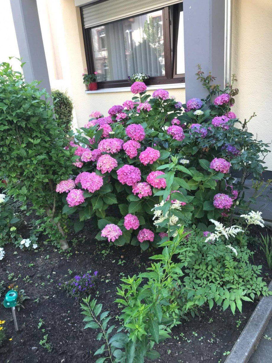 Ausenansicht Wohnung Frankfurt am Main